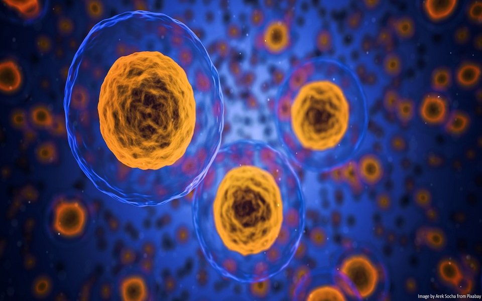 Convergence of Cutting-Edge Frontiers – 3D Bioprinting, Cellular Biology, and Generative AI