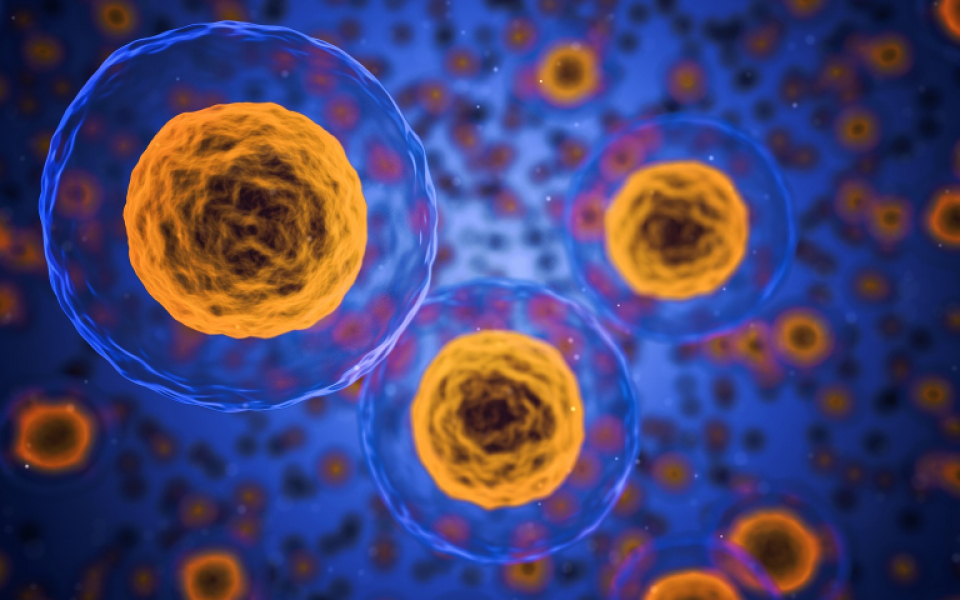 Global Market Dynamics of RNA Sequencing Service