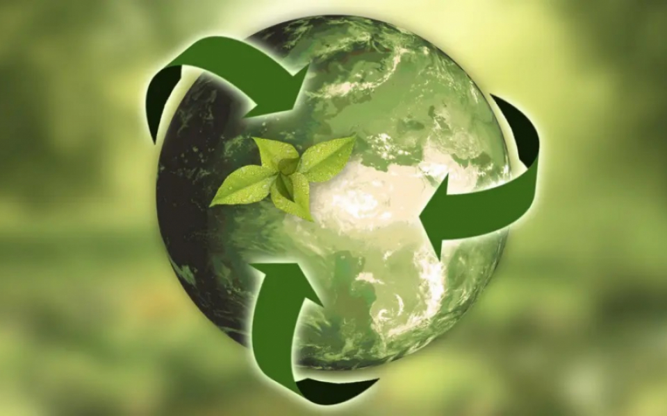 Addressing Climate Change: Embracing Circular Product Design