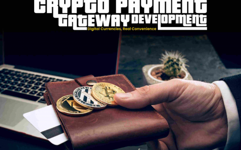 How Can I Develop My Own Crypto Payment Gateway? 