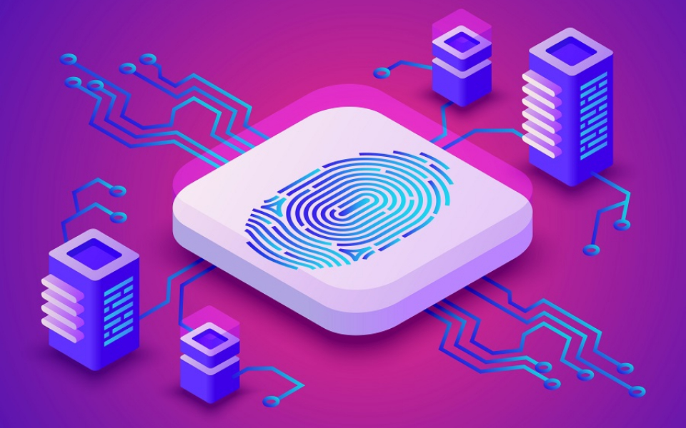The Importance of Secure, Verified Identity in a Digital World