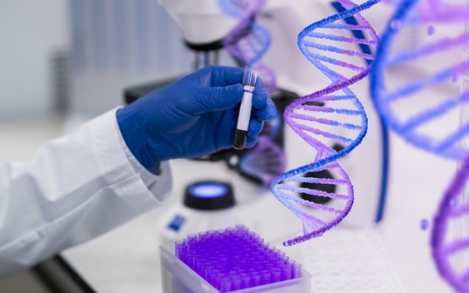 Gene Editing: Curing Diseases and Improving Human Health