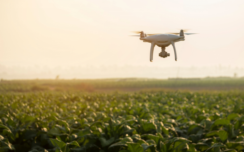 BSI- Live Virtual- Sustainability Roadshow