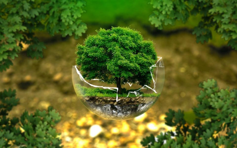AI in Environment Tech: Does AI technology saves our Environment?