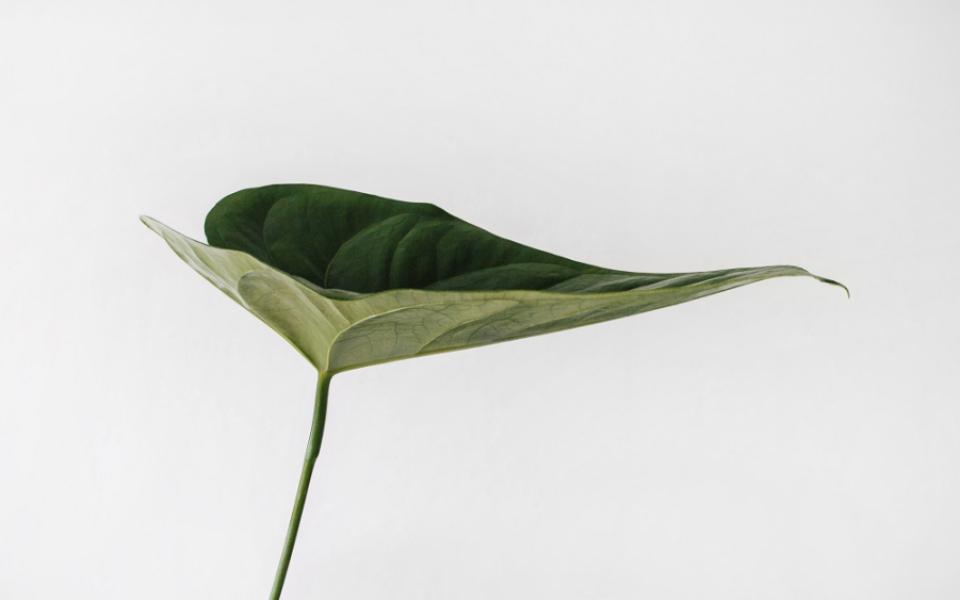 Aligning ESG with Corporate Strategy to Gain a Competitive Advantage