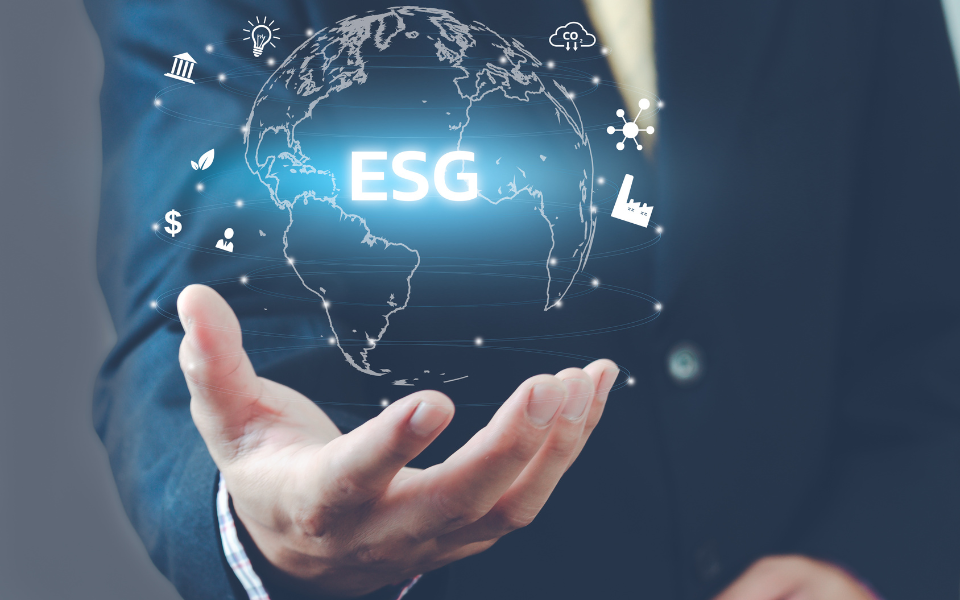 How Portfolio Analysis & Reporting Drives Sustainable Investments