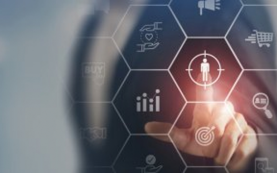 10 Critical Learnings to Win in D2C in Mid to Large Sized Organizations