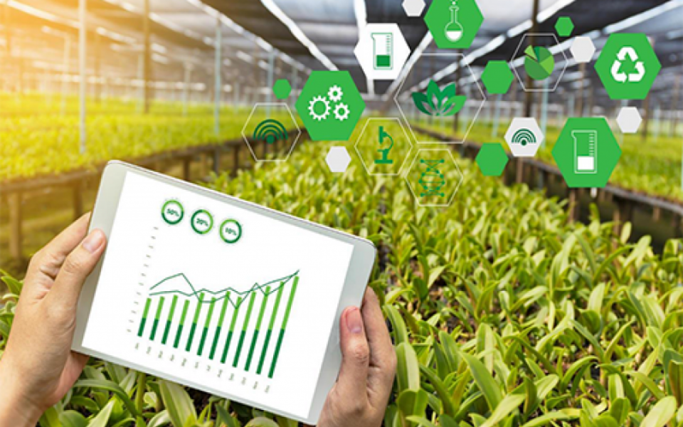 AI in Agriculture: Will AI help farmers to make better decision for optimized crop production