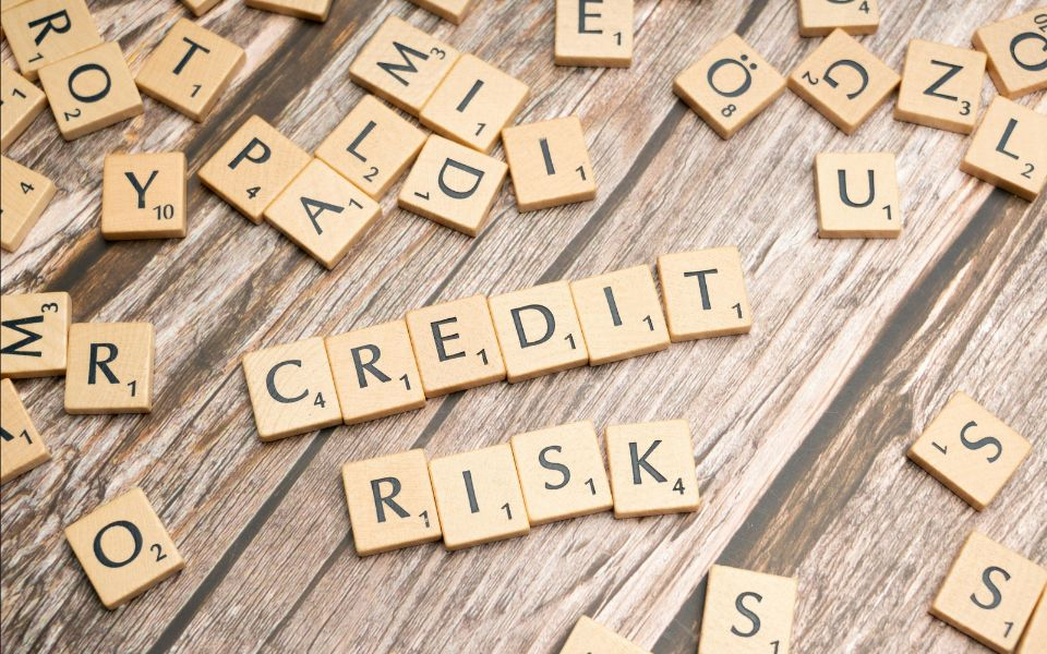 Boosting Credit Risk Performance with the Four Pillars of Modern Risk Management