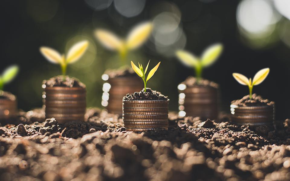 THE RISE OF THE SUSTAINABILITY MINDSET IN NEW PRODUCT DEVELOPMENT