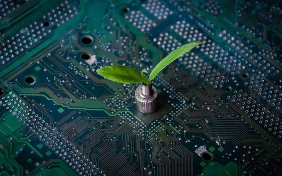 Artificial Intelligence Technologies and Sustainability of Our Environment