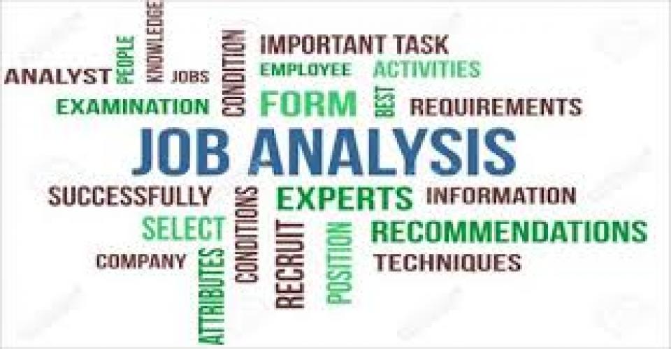 3 Best Job Analysis Methods Every HR Professional Needs To Know in 2021