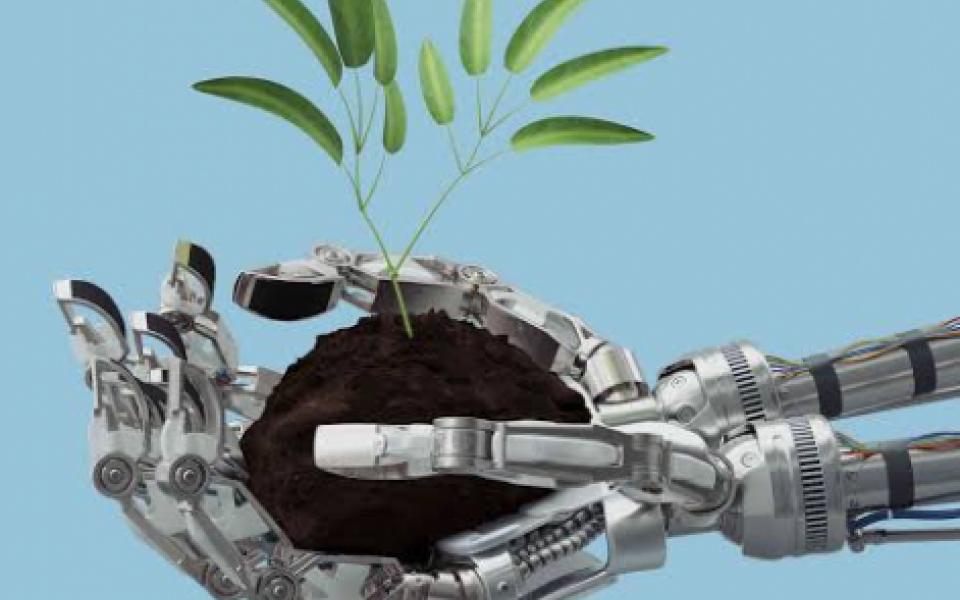 AI applications Agriculture