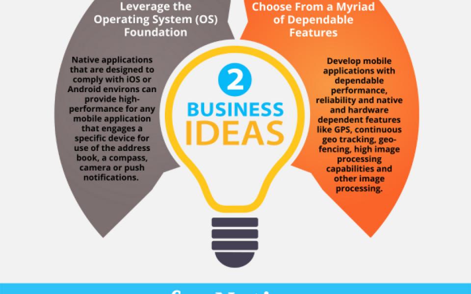 2 Business Ideas for Native Mobile App Projects