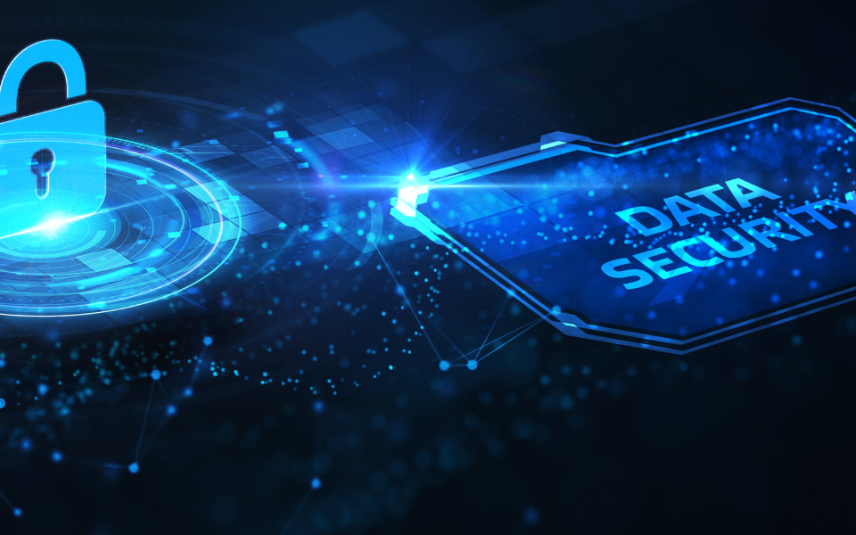 Data-Driven Resilience: Unveiling Fintech’s Secrets to Thriving Amid Economic Turmoil
