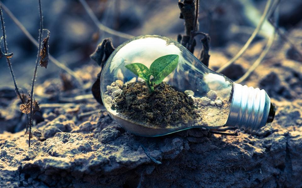 The Technology Ecoadvantage : Achieving Sustainability Goals