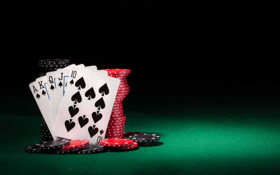 From Concept to Launch: Understanding the Lifecycle of Poker Software Development