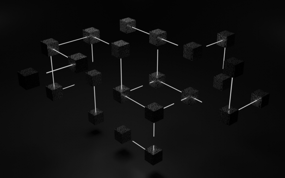 Fostering Digital Immunity in Technology Ecosystem