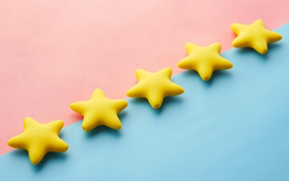 The ESG Rating Phenomenon: A Guide to Understand ESG Ratings