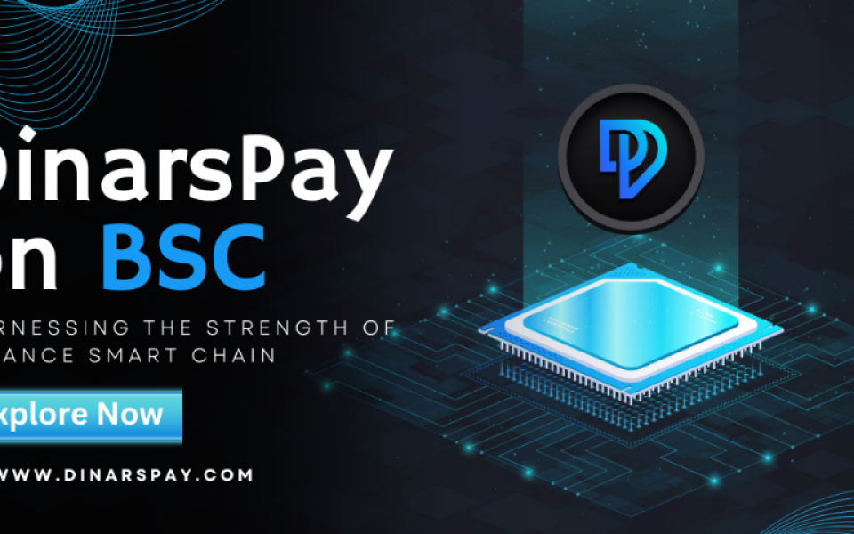 Why DinarsPay Opted for Binance Smart Chain Over Other Networks?